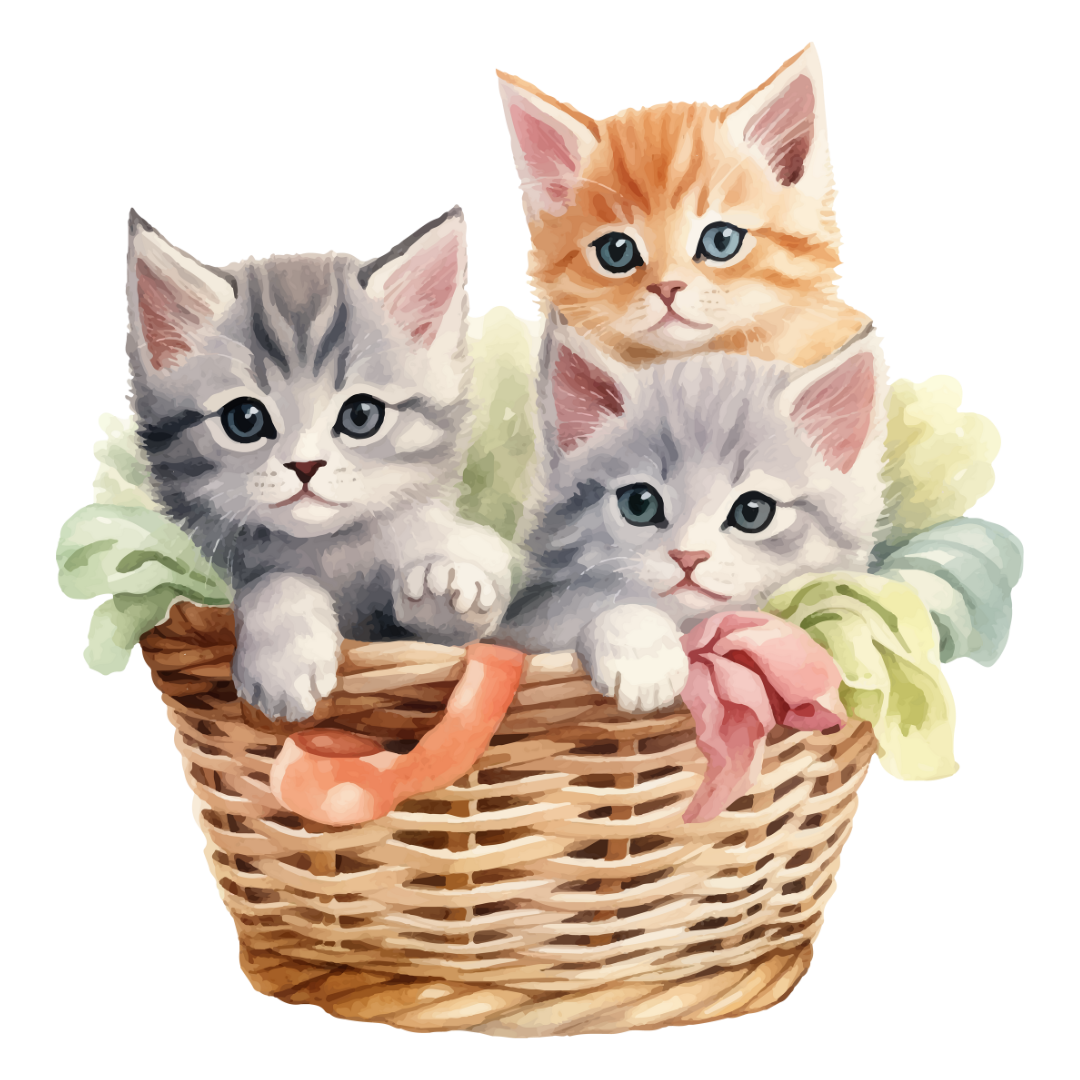 Cats & Kittens